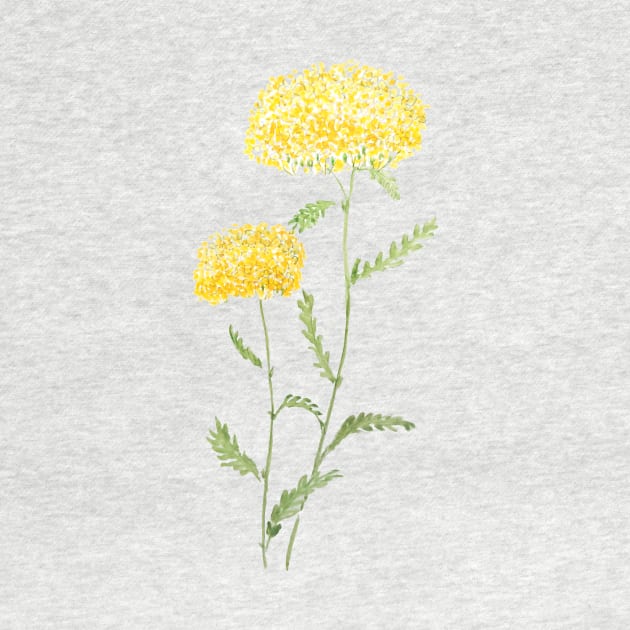 2 yellow yarrow watercolor by colorandcolor